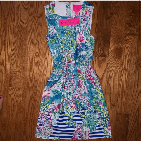 Lilly Pulitzer Marli Shift Dress - Picture 6 of 7